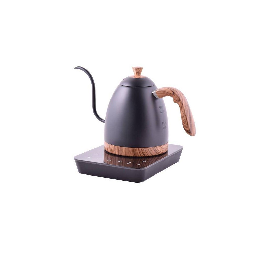 brewista gooseneck kettle