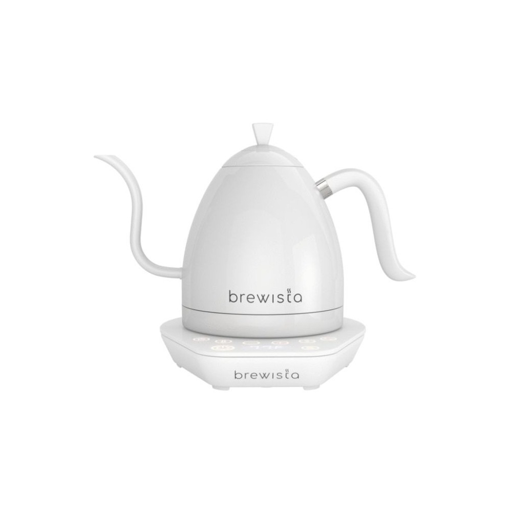 white electric gooseneck kettle